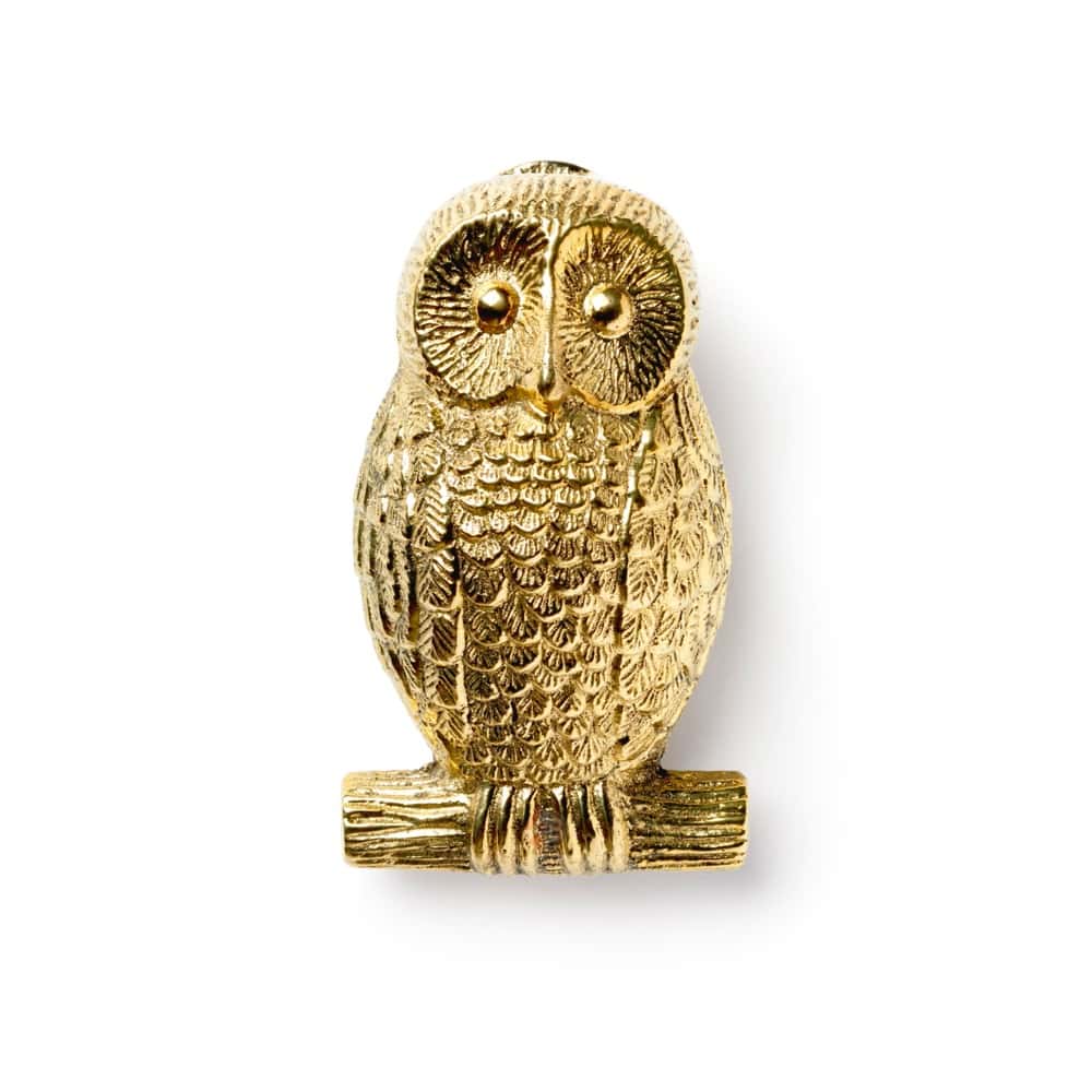 Polished Brass Owl Door Knocker