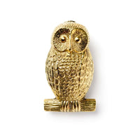 Thumbnail for Polished Brass Owl Door Knocker